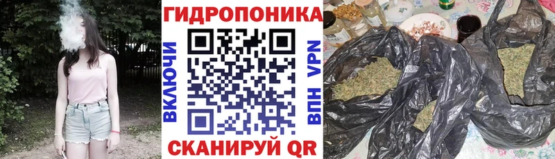 Каннабис Шарыпово