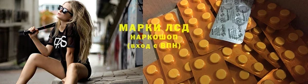 гашик Алексеевка