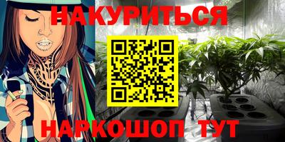 apvp Можга