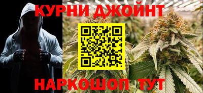 apvp Можга