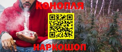 apvp Можга