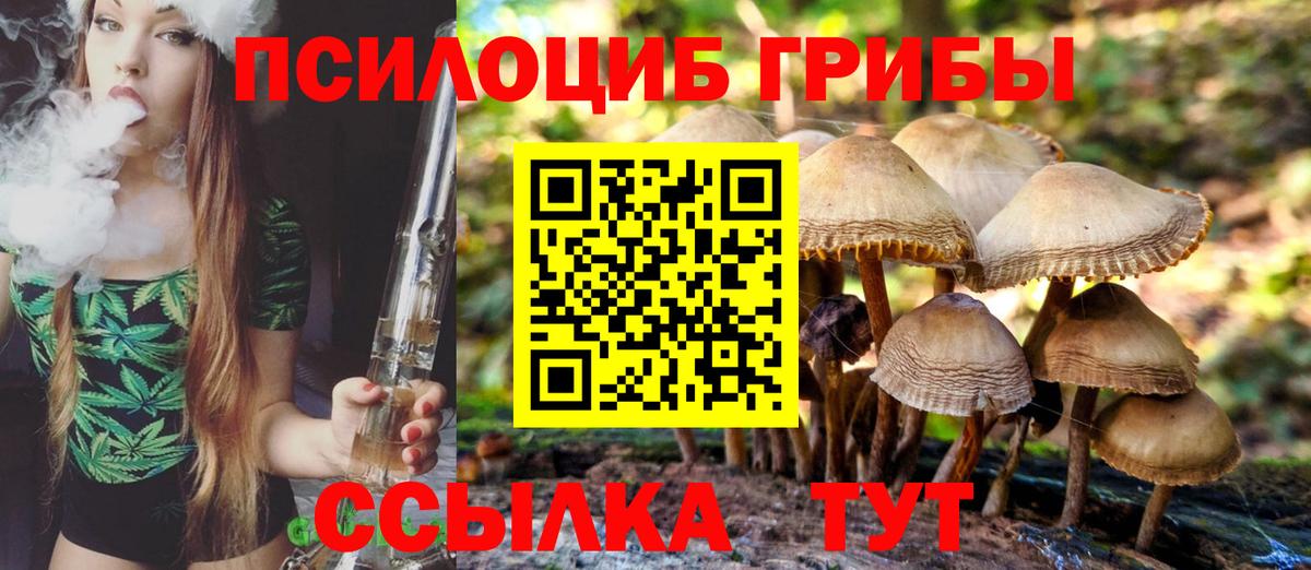 Шарыпово  Псилоцибиновые грибы мухоморы  Вход с VPN 