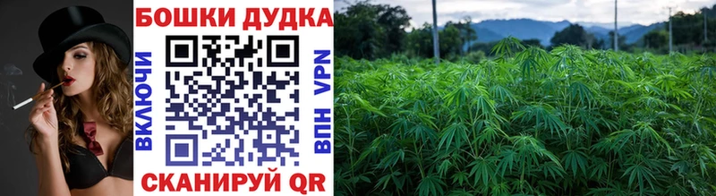 Бошки марихуана SATIVA & INDICA Шарыпово